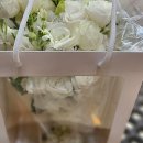 스카이컨벤션웨딩(주) 이미지