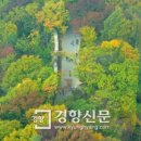 남산 이미지