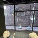 토마스비디오 | 리움 미술관 <티노 세갈> ~26.06.28 &amp; 페이스갤러리 <이건용: Body as Thought> ~26.03.28