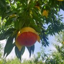 율어농장 이미지