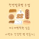 6-3 천연발효 건강빵 마스터과정 | 천연발효빵 수업의 모든 것, 대구제빵학원에서 실습으로 익히기