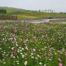 공마루길1 이미지