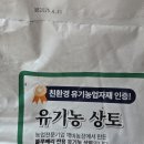 채호농장 | 깨비농장 실내 베란다 블루베리 묘목 키우기 세트 반려식물 체험