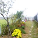 초록별숲유치원 이미지