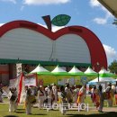 아빠의사과