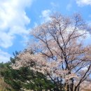 어제의 그림 오늘의 인문학 이미지