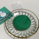 민트파파 이미지