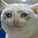 사랑은 아름다워라 이미지