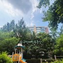 압구정-114 이미지