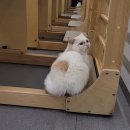 바디플랜트필라테스