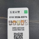 도로시펫 미용실 이미지