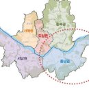 금싸라기