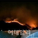 양구중앙인력