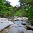 감천계곡 입구 이미지