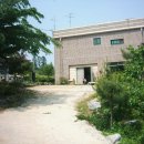 세계명견 감곡켄넬 이미지