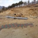 도원리경로당 이미지