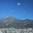 심마니유황오리 이미지