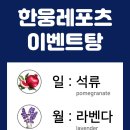 한웅레포츠 이미지