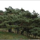 브라운 아이즈 카카오 검색결과