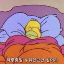 라이프기빙 | 치앙마이 여행 일기(6) Bye and Hi(플레이웍스,무삥쿤퍼,쨈아줌마,캄 빌리지 선셋 요가,바리우마...