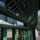 구로-신도-구로-50 이미지