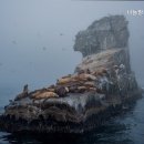 나눔방문요양센터 이미지