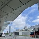 [도쿄 여행] Day3 : 디즈니랜드, 미녀와야수 DPA, 포토존 꿀팁