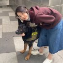 서리풀공원1-16 이미지