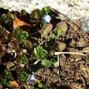 너더리육교 이미지