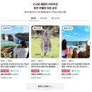 주식회사 마루정보통신 | 멜버른 여행 코스 4월 5월 날씨 :: 퍼핑빌리 증기기관차, 필립아일랜드 펭귄투어