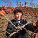 산음영농 이미지