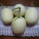 늘푸른농장2 이미지