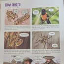카피루스 이미지