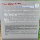 운남동 1766-3 주변 녹지 | 서산 상왕산 개심사, 백제의 기운을 담고 있는 사찰, 고려말 불상이 있는 곳 [천문열린 소원성취 기도터...