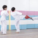 경희대 글로벌 태권도 이미지