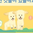 모두동물병원 이미지