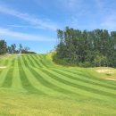 울진해물탕 이미지