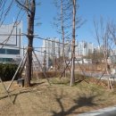 고덕드림약국 이미지