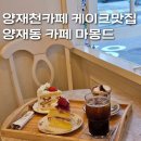 양재천카페 카페마몽드 I 양재 케이크맛집에서 딸기케이크 후기