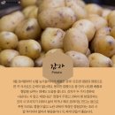 청경전복유통 이미지