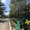 고인돌휴게소(하행선) | 애견 동반 여행/ 완도 수목원 펜션 후기 feat. 휴게소 맛집 고창 고인돌휴게소(하행) 장어탕)