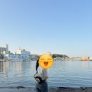교항리(하) | 강릉 뚜벅이여행 2박3일 | 사촌여행 | 강릉, 주문진
