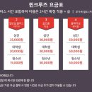 퀸크루즈