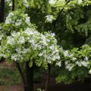 월곡공원 이미지