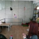 일오구카페