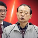 이정현 카카오 검색결과