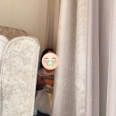 신신목욕탕 이미지