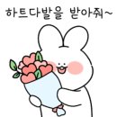 미쁨 헤어