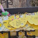 아제국수 | [양평 용문사] 서울 근교, 고양이와 힐링하는 체험형 템플스테이_2일차