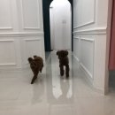 태자미용실 이미지